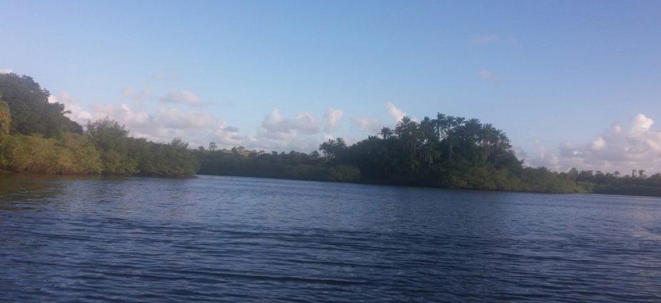 20161020_164940_resized